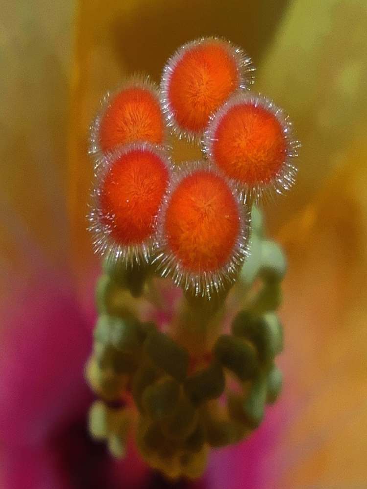 Photograph by JONATHAN VALDEZ