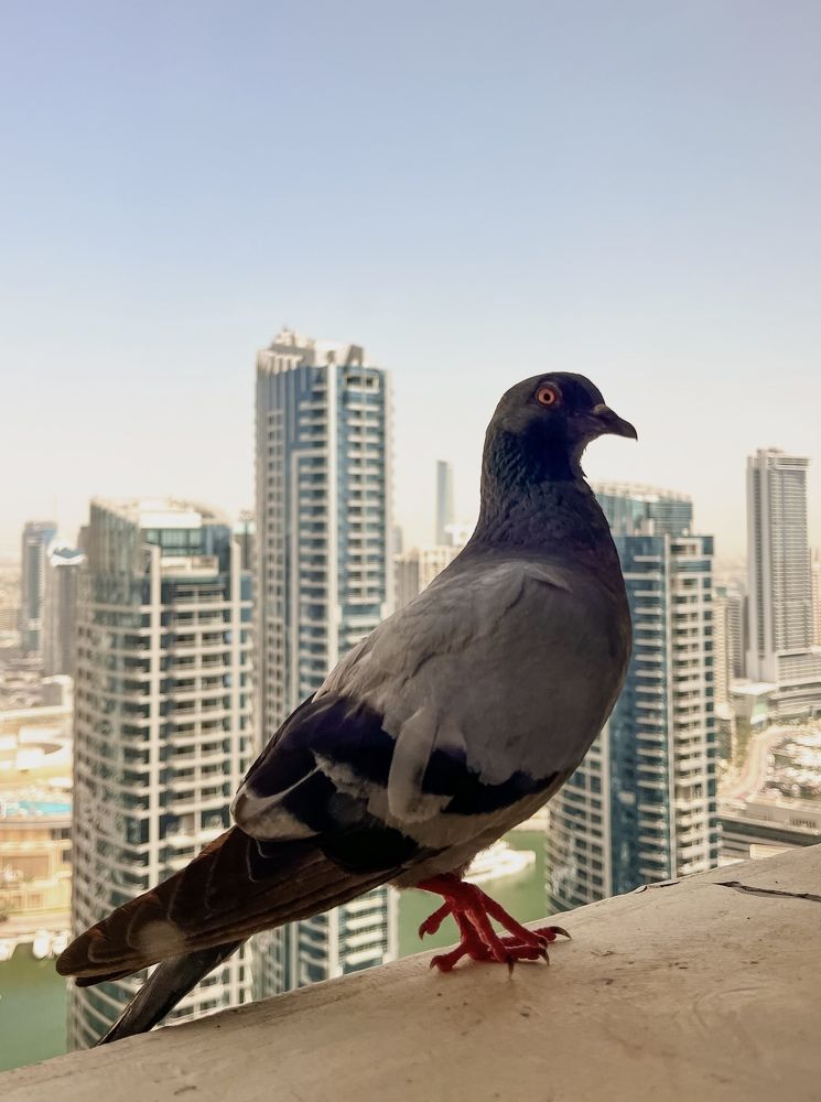 Photograph by Julia Andreeva