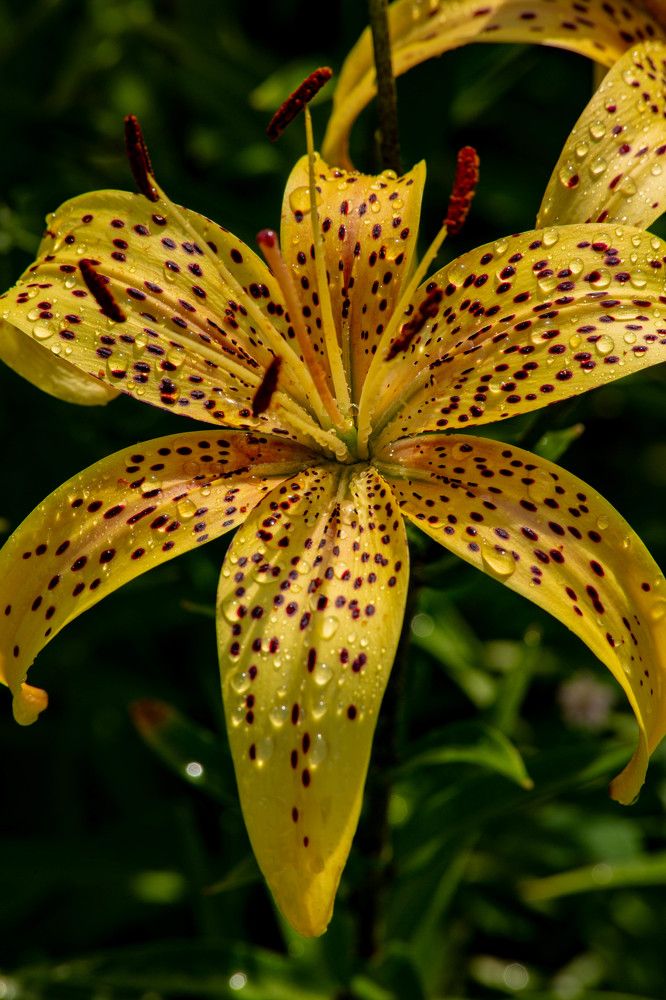 Photograph by Евгений Авдеев