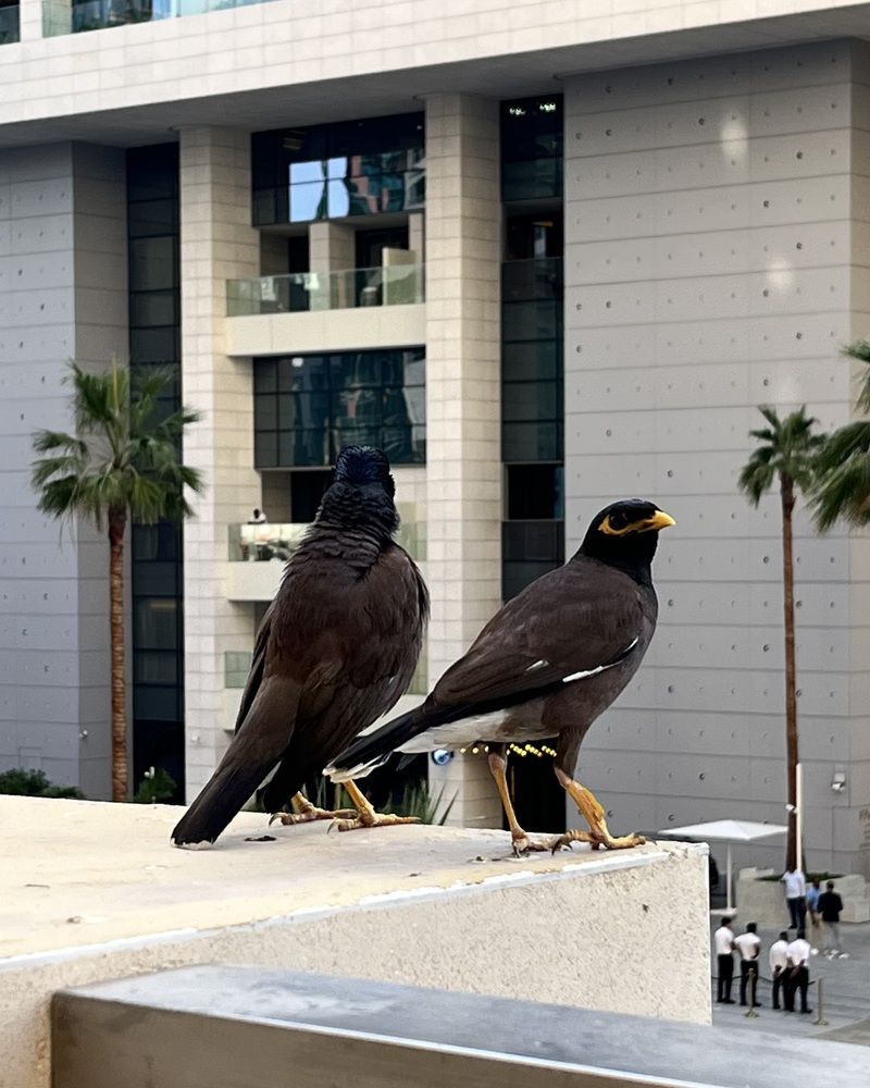 Photograph by Julia Andreeva