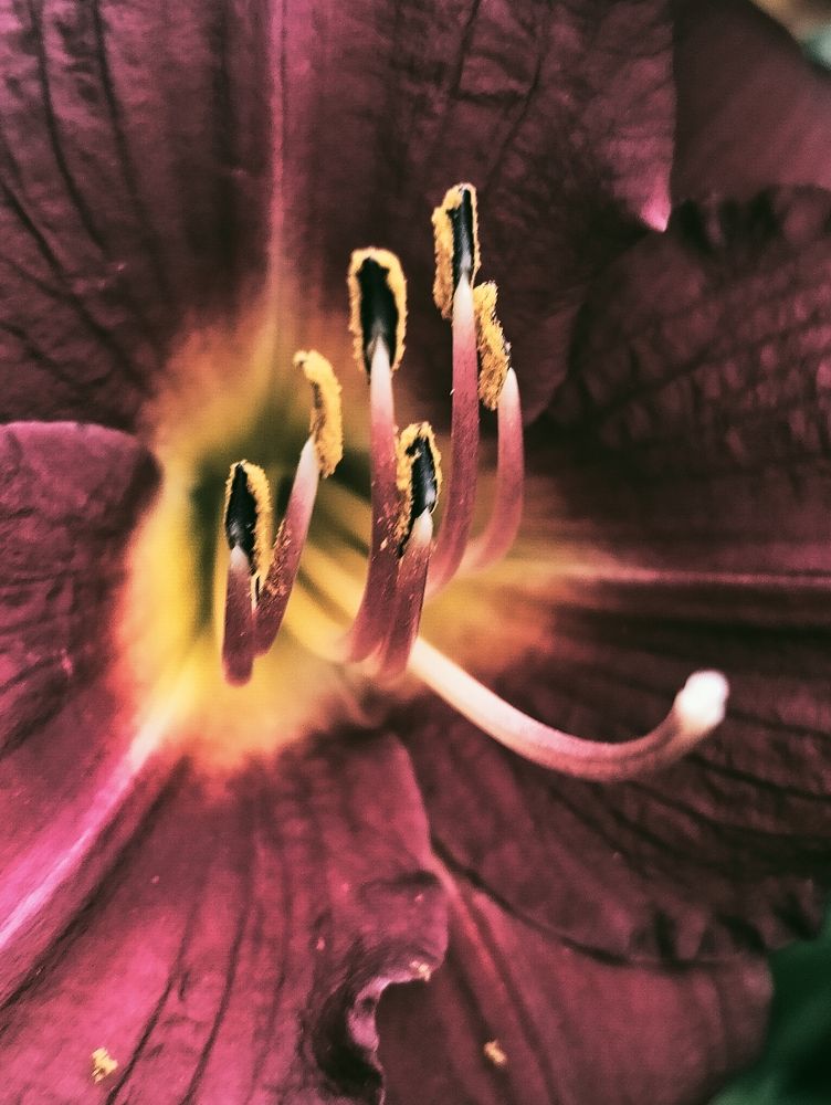 Photograph by Ирина Сергейчук