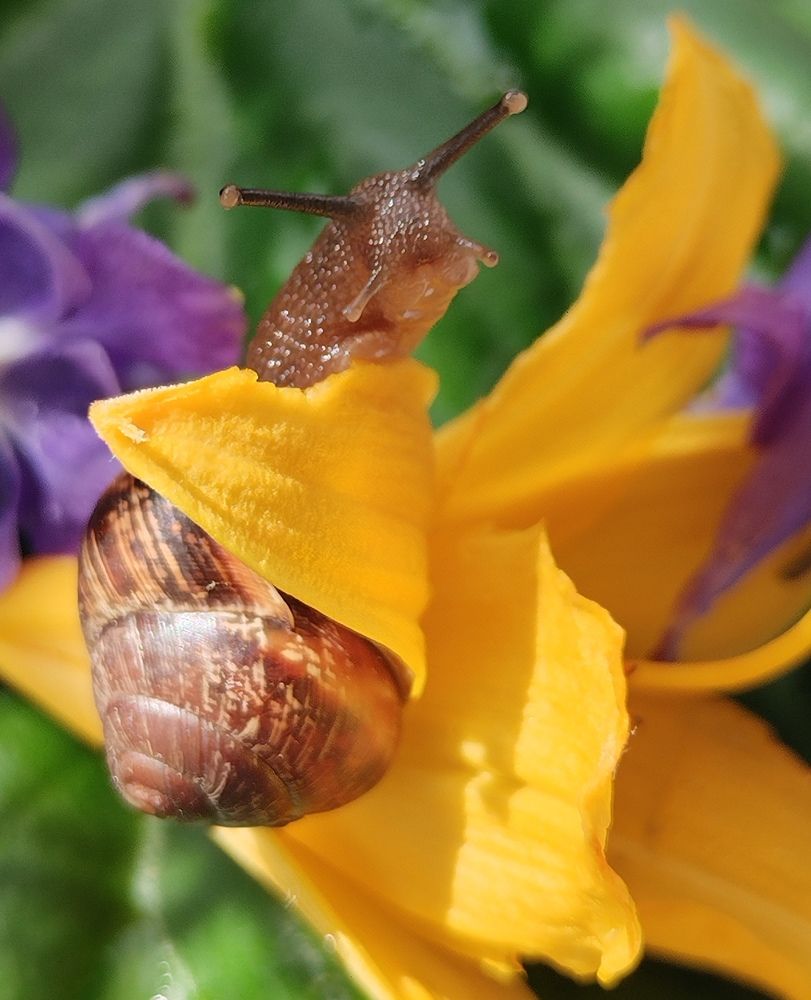 Photograph by Татьяна