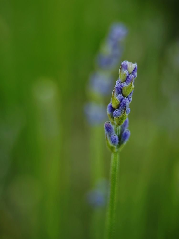 Photograph by Александра Шилова