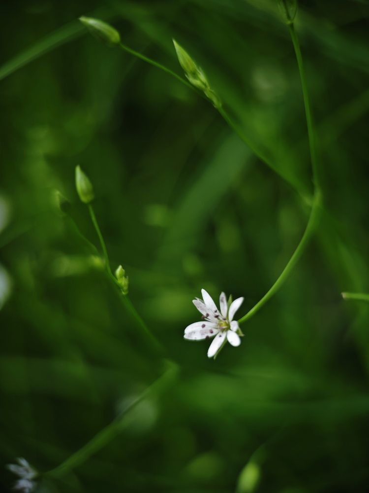 Photograph by Александра Шилова