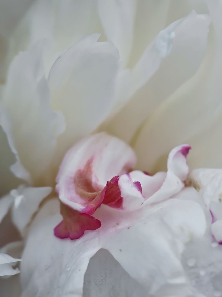 Photograph by Александра Шилова