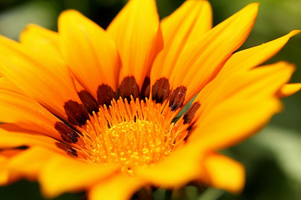 Photograph by Людмила Таерова