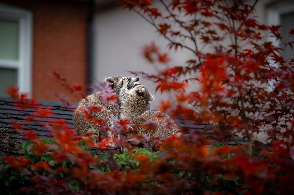 Photograph by Zhenhuan Zhou