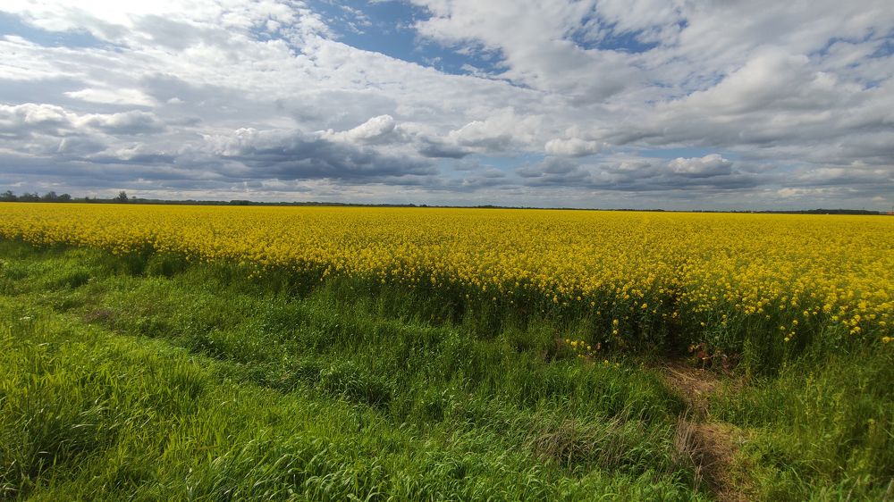 Photograph by Дмитрий