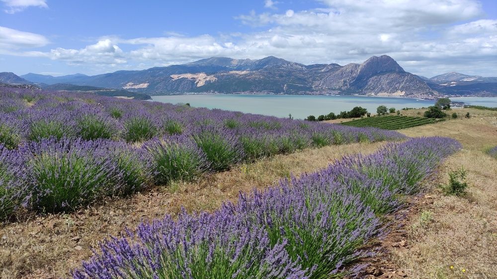 Photograph by Дмитрий