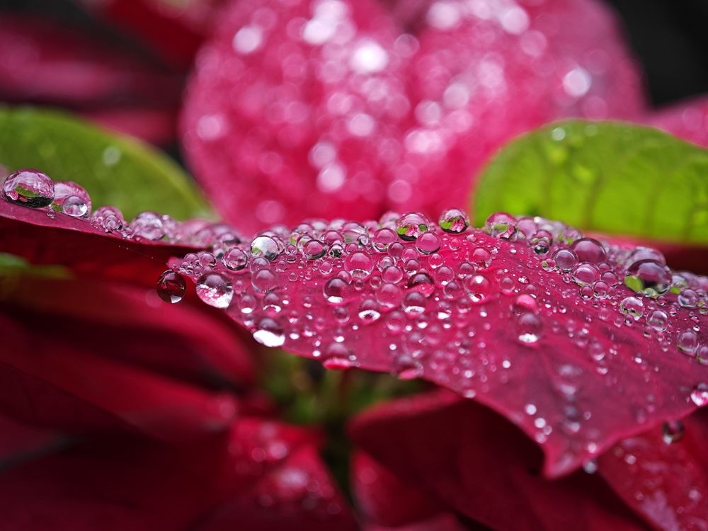 Photo #10876353