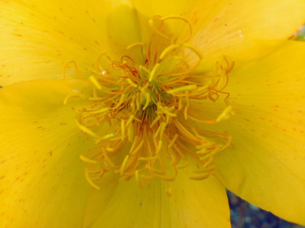 Photograph by Régis Santos