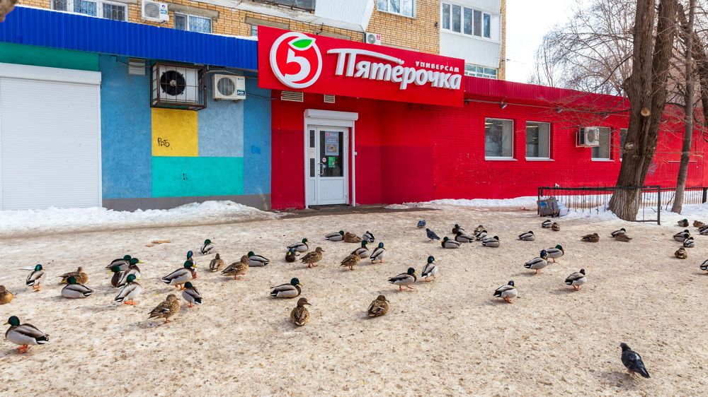 Photograph by Владимир Акиньшин