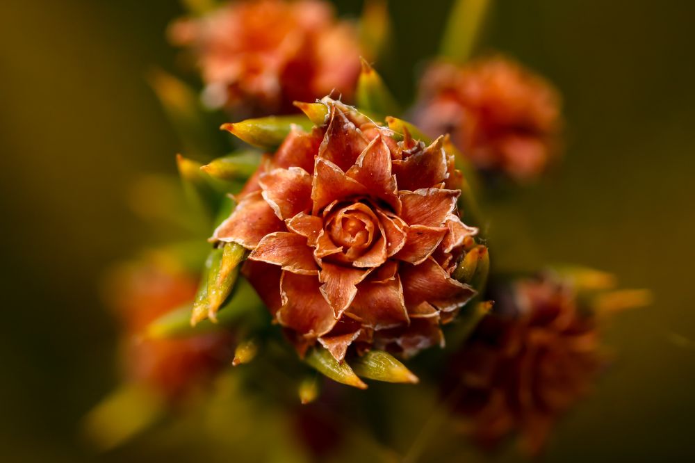 Photograph by Сергей Назаредский