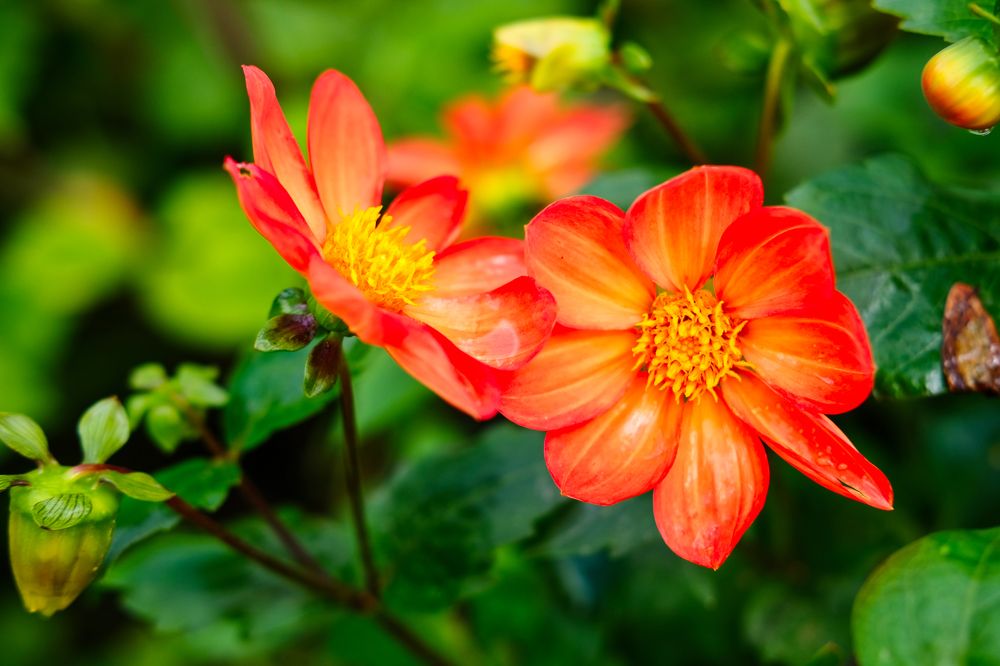 Photograph by Дмитрий