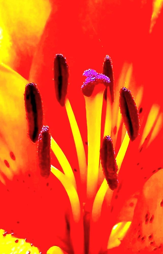 Photograph by Евгений Савулькин