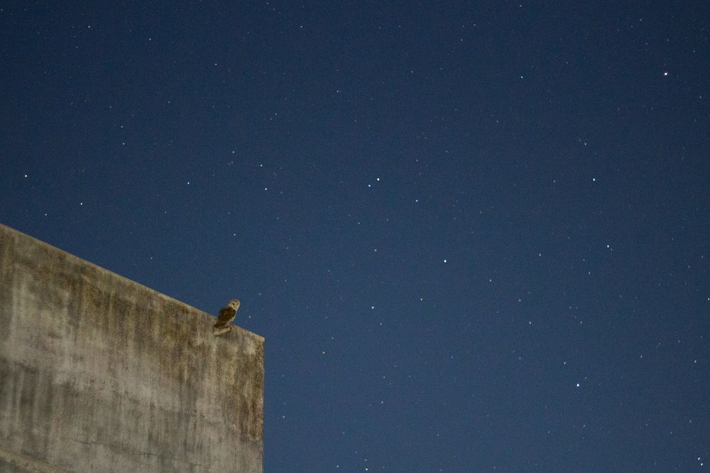 Photograph by vijay parmar