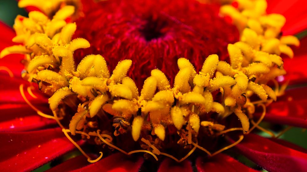 Photograph by Татьяна Огаркова