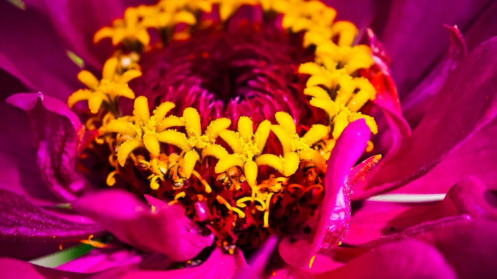 Photograph by Татьяна Огаркова