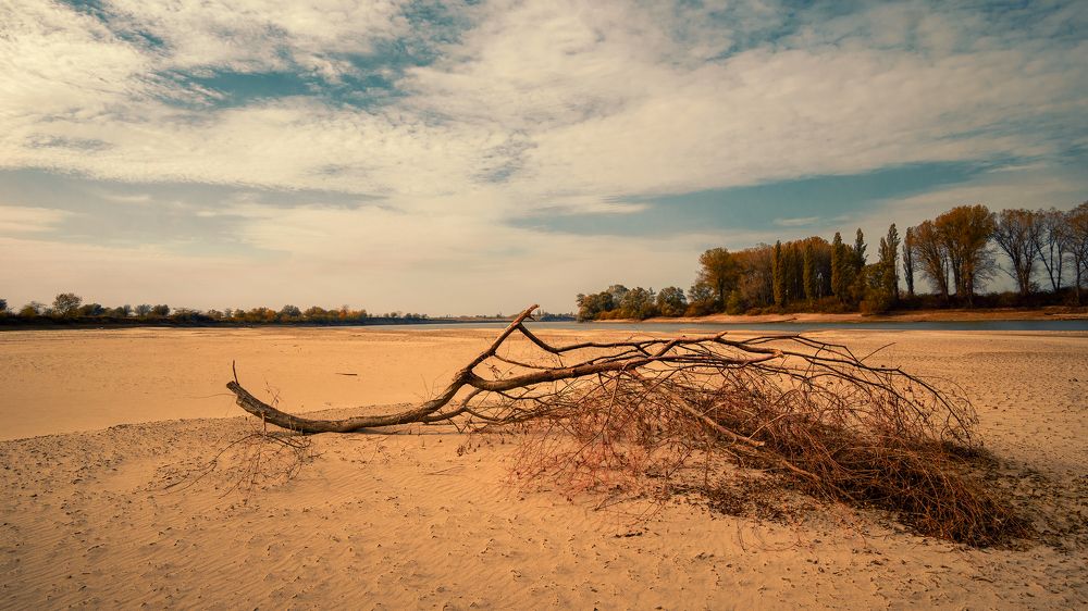 Фотография автора Вадим Коваленко