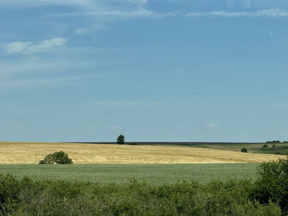 Фотография автора ГУЗАЛИЯ ГАНИЕВА