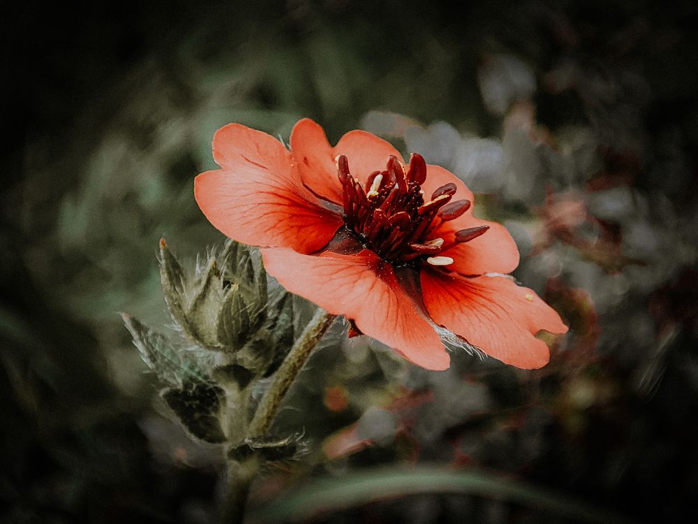 Photograph by Александра Петрова