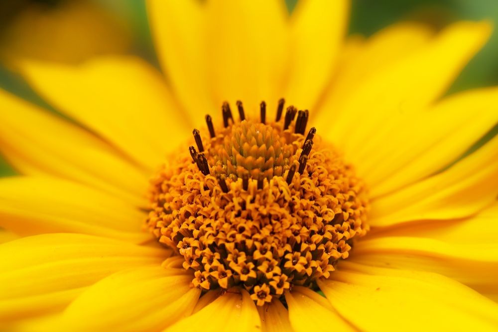 Photograph by Татьяна Бравая