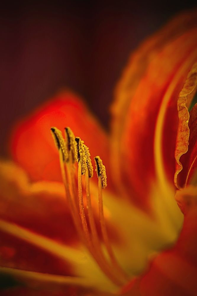 Photograph by Татьяна Бравая