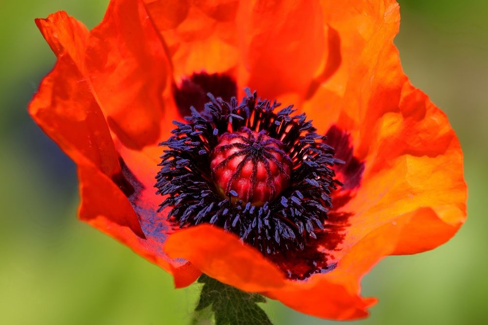 Photograph by Татьяна Бравая