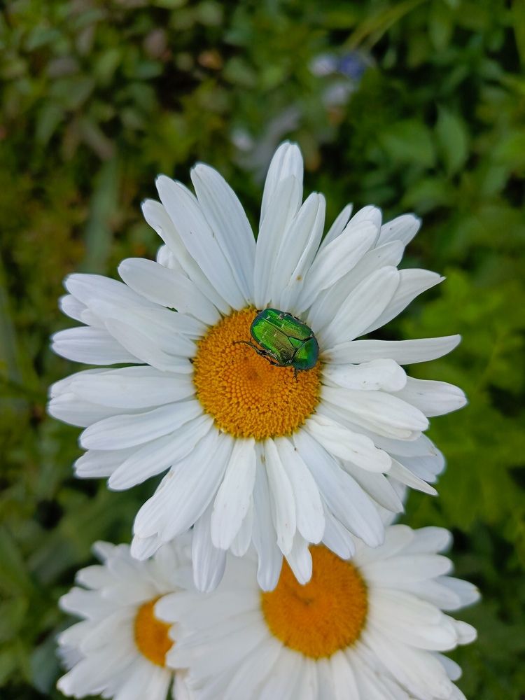 Photograph by Татьяна Пальчикова