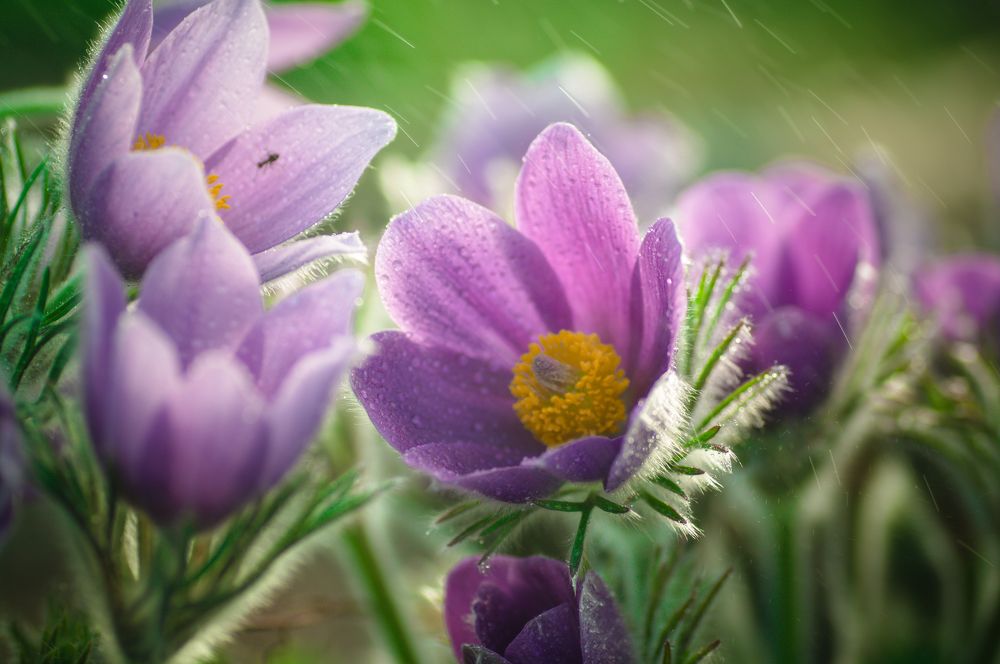 Photograph by Николай Захаров