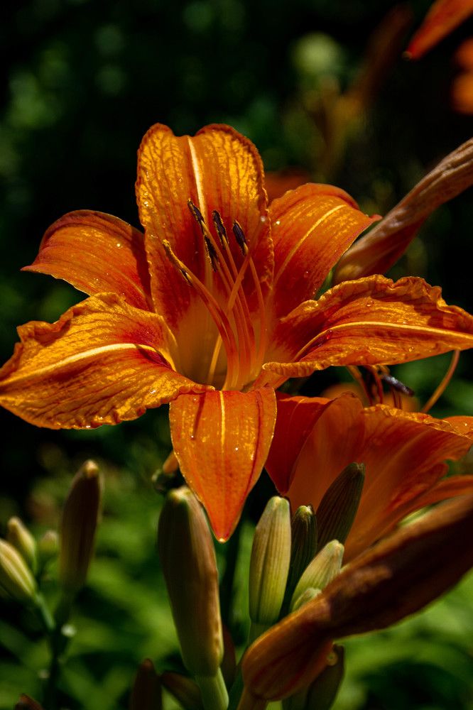 Photograph by Людмила