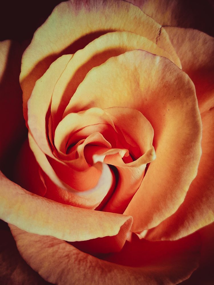 Photograph by Катерина Солдатова