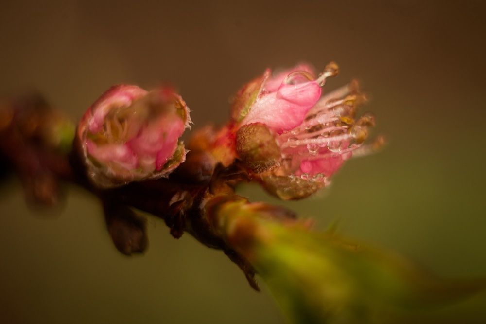 Фотография автора Юлия Трубанова