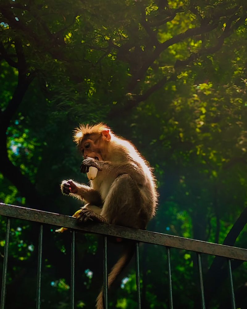 Photograph by Praveen