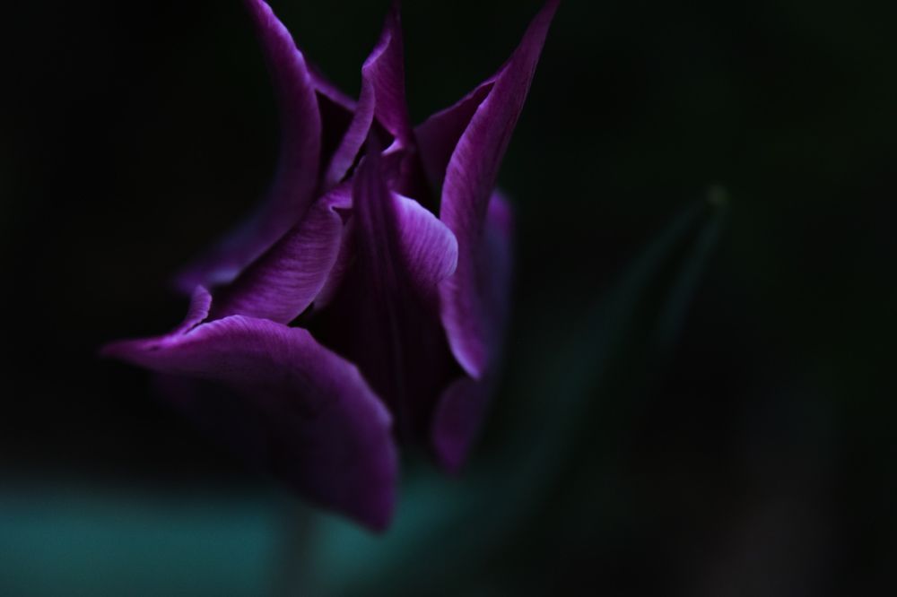 Photograph by Светлана Войта