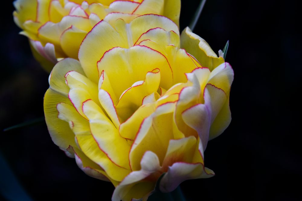 Photograph by Светлана Войта