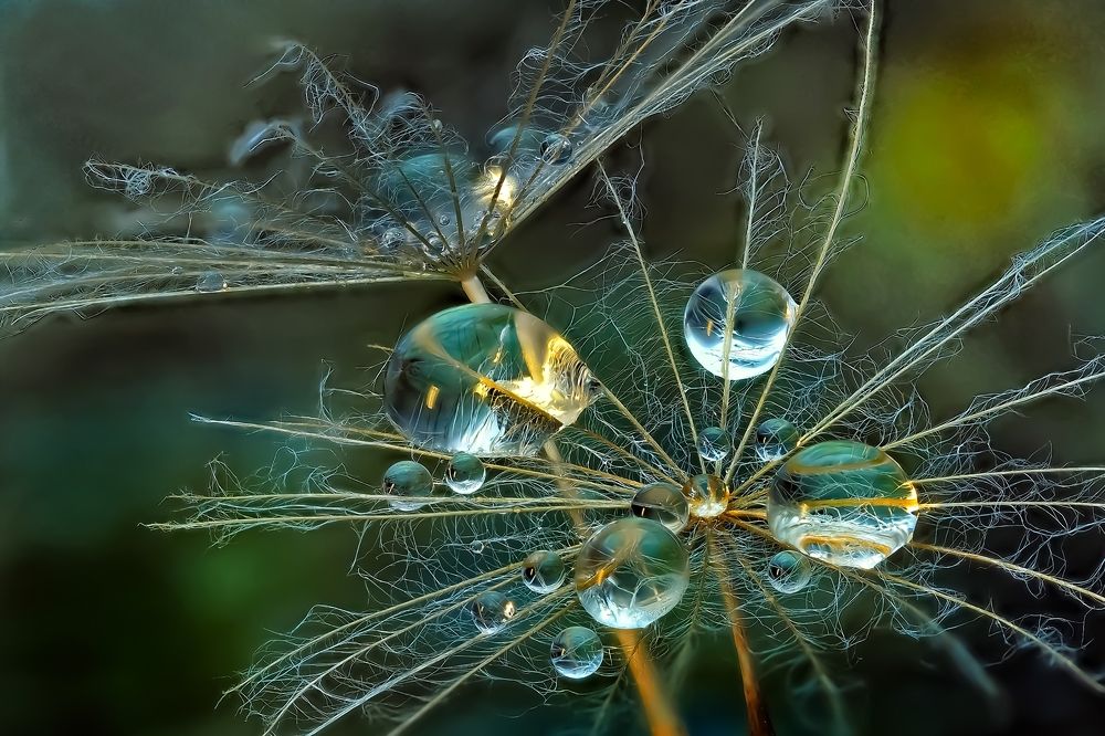 Photograph by Савчук Анатолий