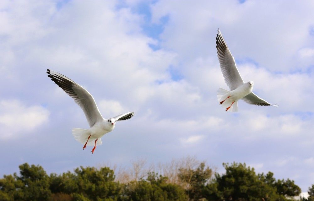 Фотография автора Михаил Лупина