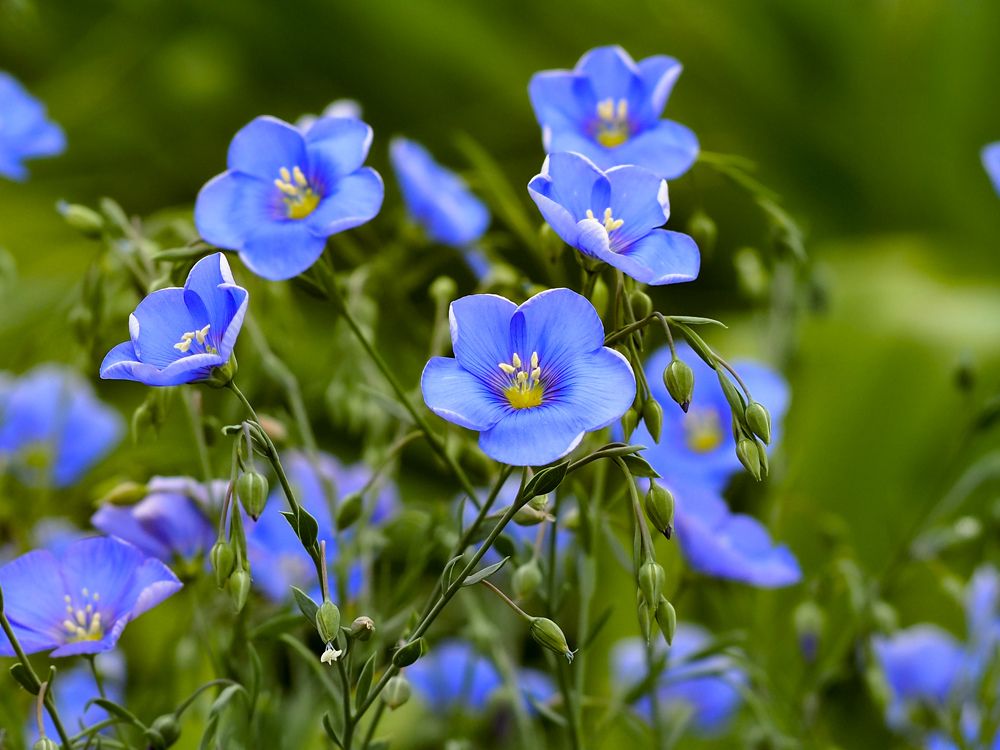 Photograph by Евгений Фазлеев