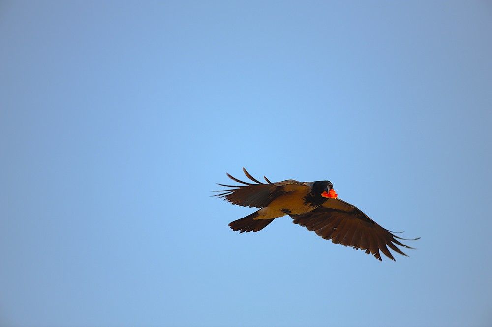 Фотография автора Михаил Лупина