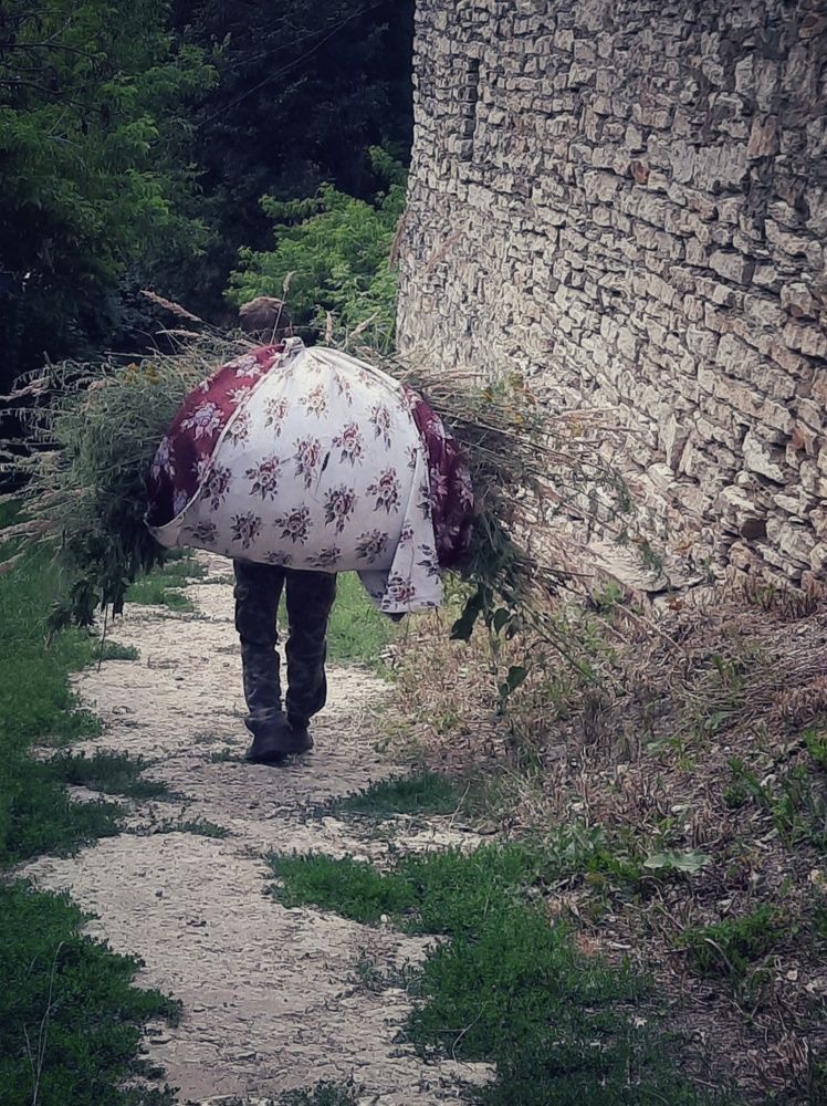 Photograph by Ольга Нагорная