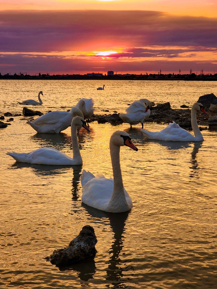 Photograph by Chic.chiquitita