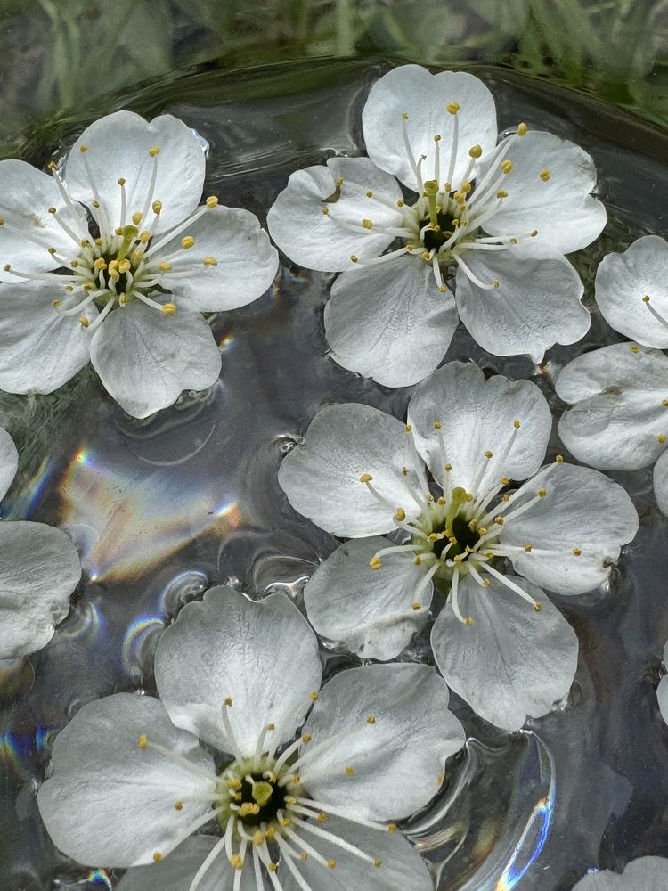 Photograph by Татьяна Зенина