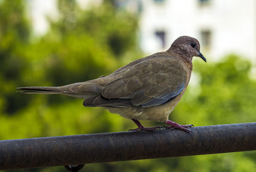 Photograph by Alex Kalpus