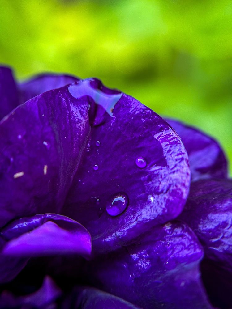 Photograph by Татьяна Зенина