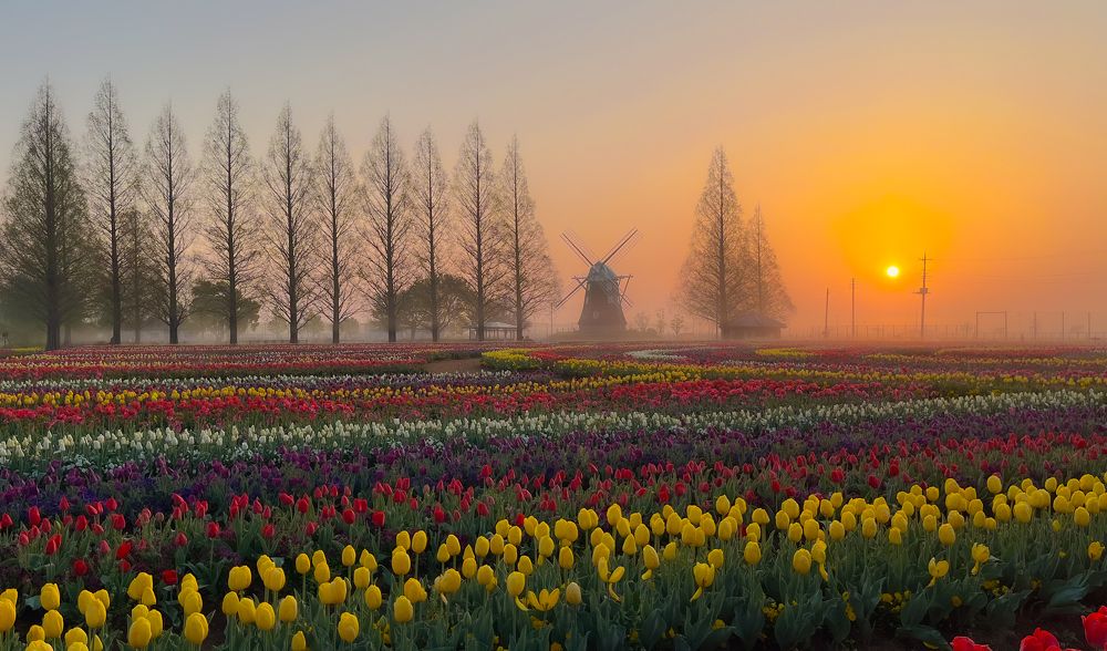 Фотография автора Huong Thom Nguyen