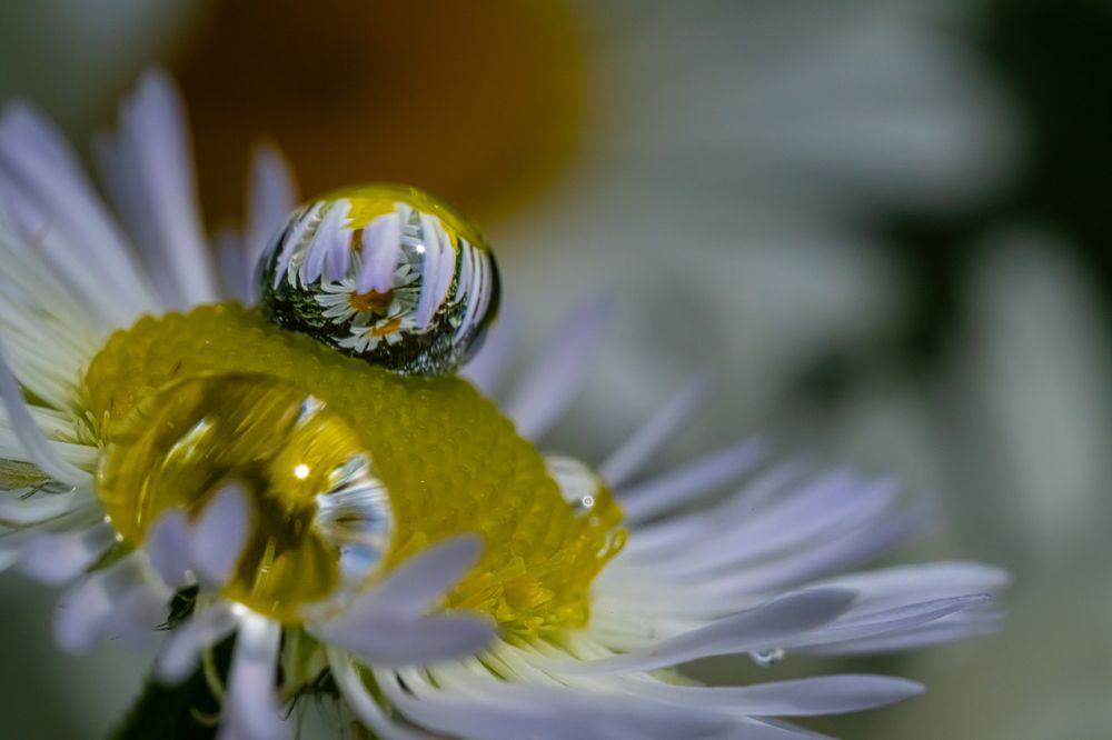 Photograph by Николай Фонарёв