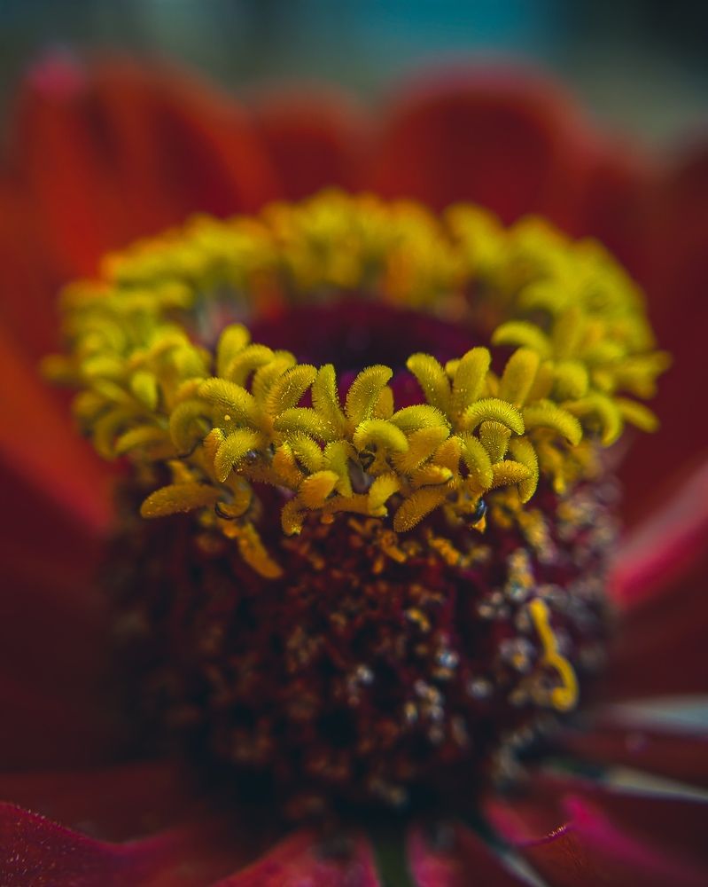 Фотография автора Юра Кладухин