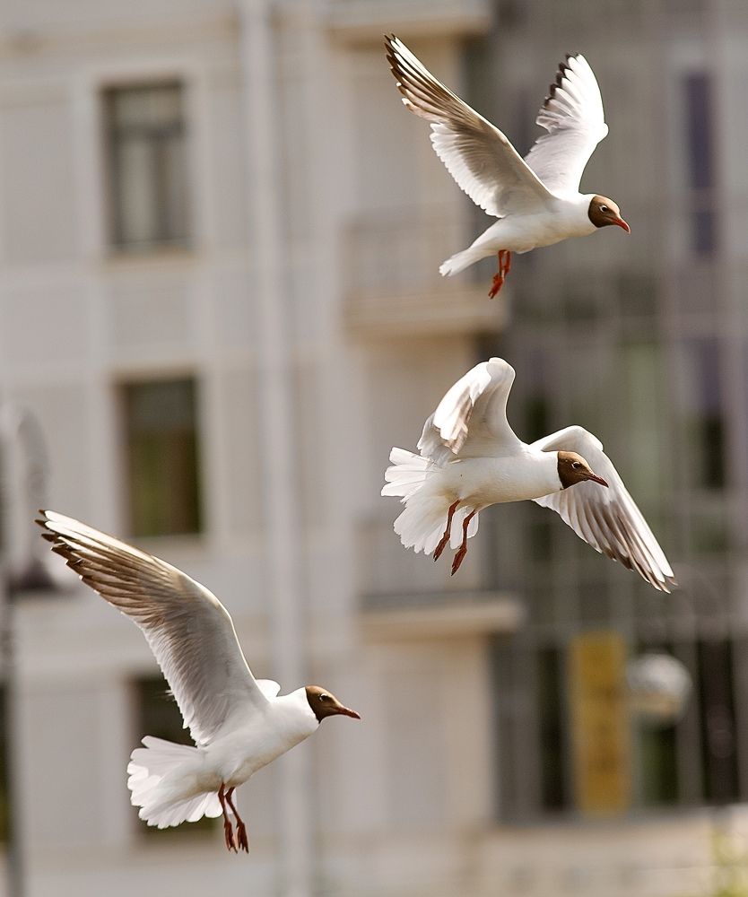 Photograph by Елена Ковалева