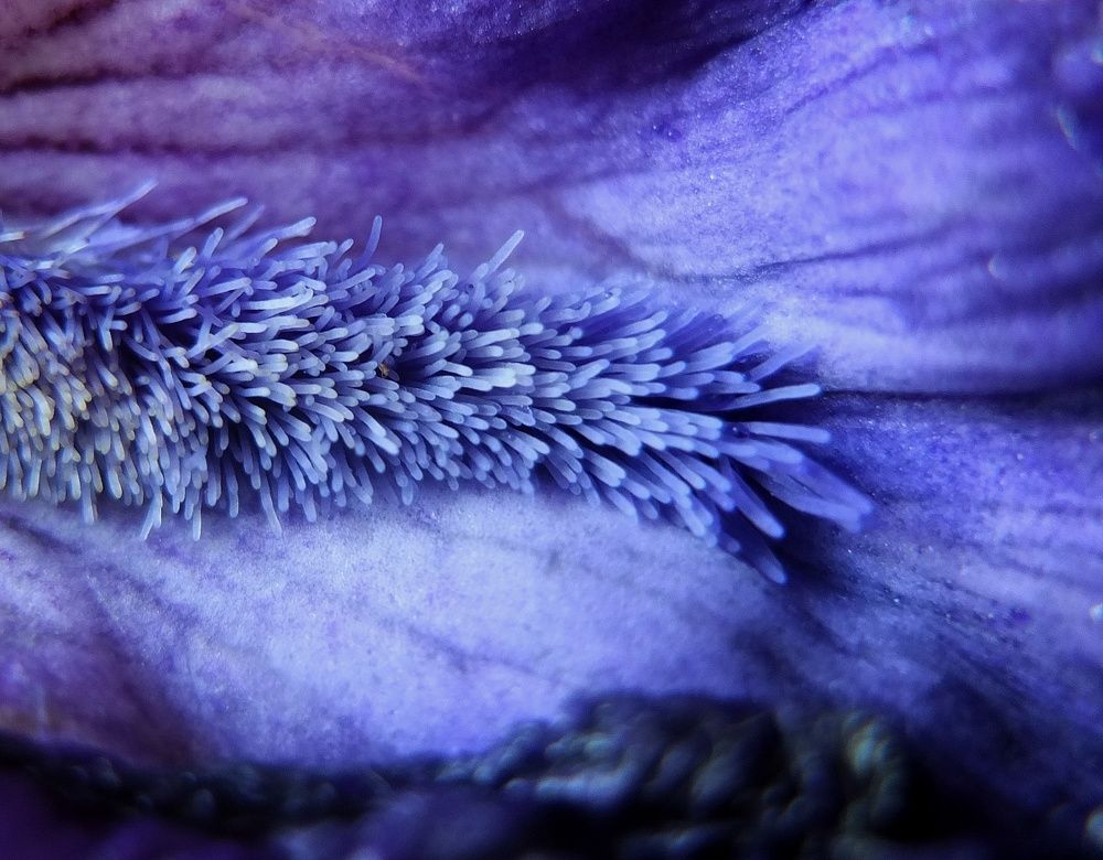 Photograph by Анна Матецкая